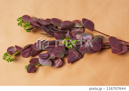 artificial flower with red leaves on craft paper. plastic plant for vase. 116707644