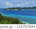 阿嘉島　慶良間諸島　沖縄 116707844