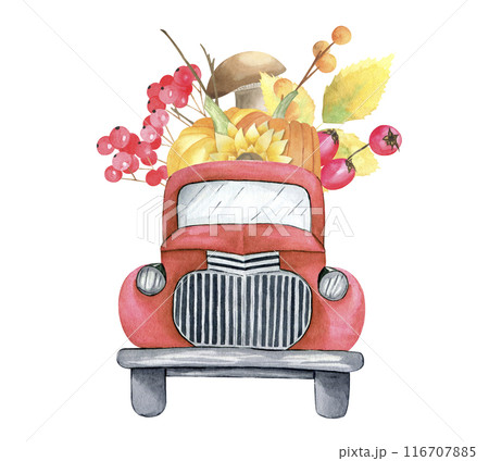 Watercolor old pickup truck with autumn leaves, pumpkins, sunflowers, berries, mushroom isolated on white background. Hand drawn fall car for thanksgiving day and harvest holiday. Greeting cards. 116707885