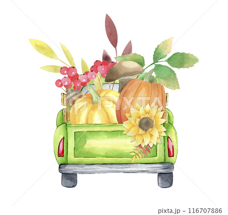 Watercolor old pickup truck with autumn leaves, pumpkins, sunflowers, berries, mushroom isolated on white background. Hand drawn fall car for thanksgiving day and harvest holiday. Greeting cards. Watercolor old pickup truck with autumn leaves, pumpkins, sunflowers, berries, mushroom isolated on white background. Hand drawn fall car for thanksgiving day and harvest holiday. Greeting cards. 116707886