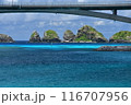 阿嘉島　慶良間諸島　沖縄 116707956