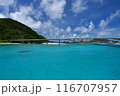 阿嘉島　慶良間諸島　沖縄 116707957