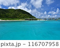 阿嘉島　慶良間諸島　沖縄 116707958