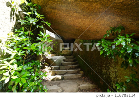 弥山山頂の登山道 116708114