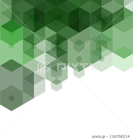 Green hexagon background in polygonal style. Vector template for presentations, advertisements, brochures, banners and more. 116708214