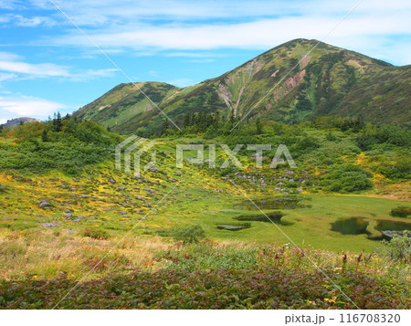 初秋の火打山と天狗の庭 116708320
