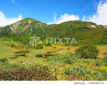初秋の火打山と天狗の庭 116708322