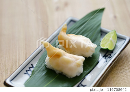 イシカゲ貝握り寿司 イシカゲ貝握り寿司 116708642