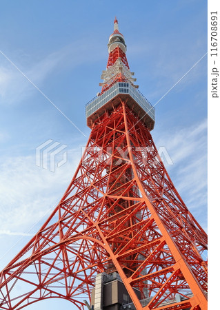 東京タワー 116708691