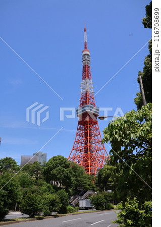 東京タワー 東京タワー 116708699