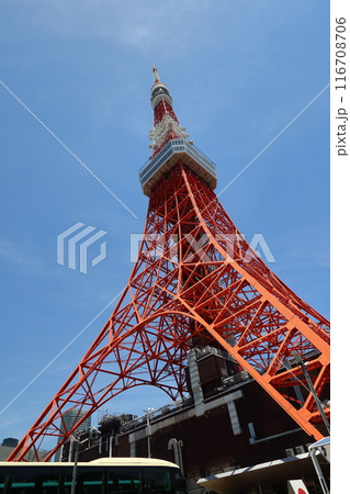 東京タワー 116708706