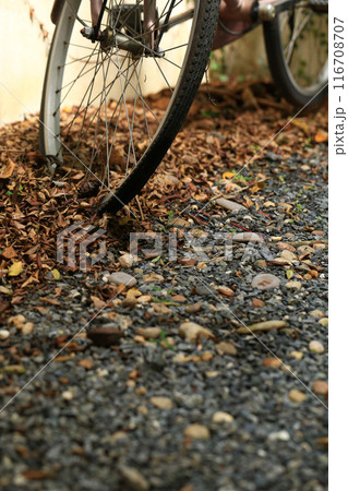 bicycle wheel with autumn leaves on the ground. dry leaves on the ground, top view, background texture. 116708707