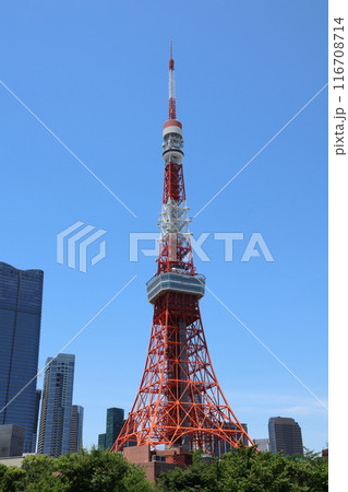 東京タワー 116708714