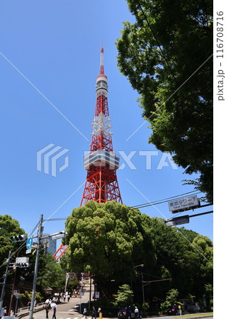 東京タワー 116708716