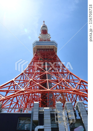 東京タワー 116708718