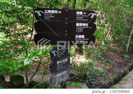 宮島にある案内看板 116709060