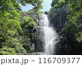 【香川県】不動の滝 116709377