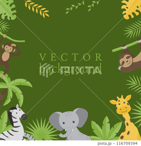 Children's square empty frame with the image of wild jungle animals - giraffe, elephant, zebra, rhinoceros, toucan, monkey, sloth, lion, crocodile. Flat vector illustrations for children on a green ba 116709394