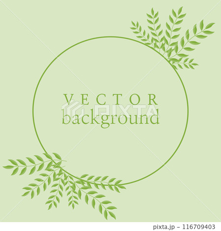 Floral minimalistic vector empty frame. Round shape with branches. Vector illustration with a place for text. Floral minimalistic vector empty frame. Round shape with branches. Vector illustration with a place for text. 116709403