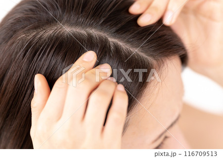 髪を気にする女性 ヘアケア 髪を気にする女性 ヘアケア 116709513