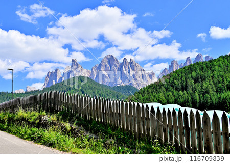 サンタ・マッダレーナ村からのガイスラー山塊 116709839