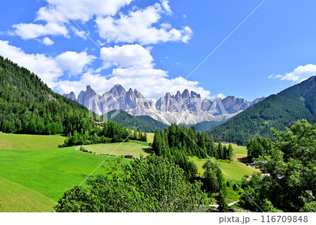 サンタマッダレーナ村 牧草地とガイスラー山塊 116709848