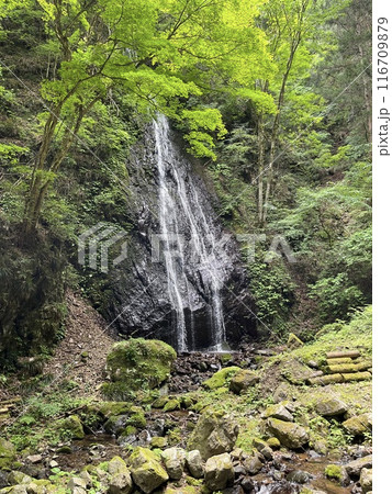 檜原村　華水の滝 116709879