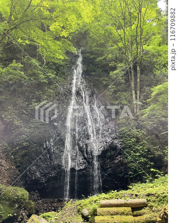 檜原村　華水の滝 116709882
