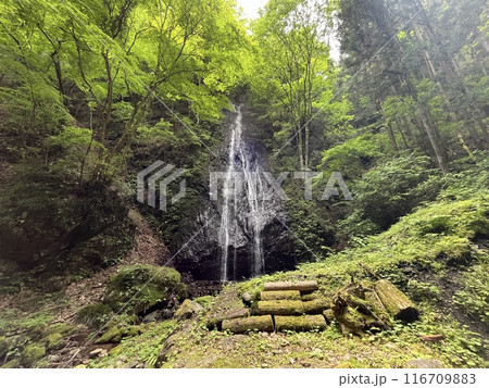 檜原村　華水の滝 116709883