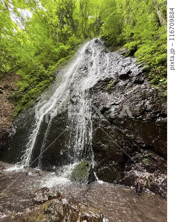 檜原村　華水の滝 116709884