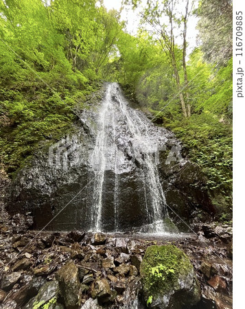 檜原村　華水の滝 116709885