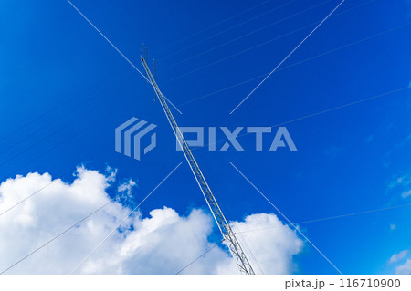 夏の青空と電波塔 116710900