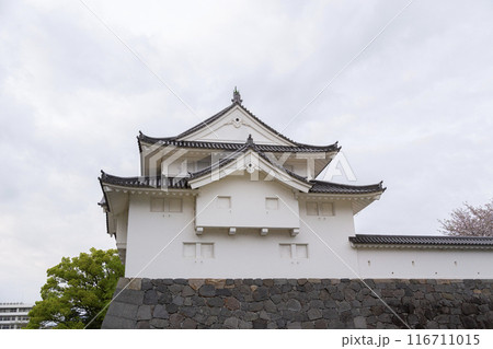 駿府城　静岡県 116711015