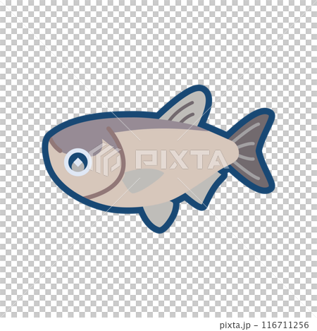 かわいいハクレンのイラスト 116711256