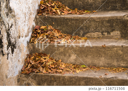 A pile of colorful autumn leaves scattered on a concrete outdoor staircase. A pile of colorful autumn leaves scattered on a concrete outdoor staircase. 116711508