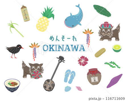 沖縄旅行のイメージのイラスト 沖縄旅行のイメージのイラスト 116711609