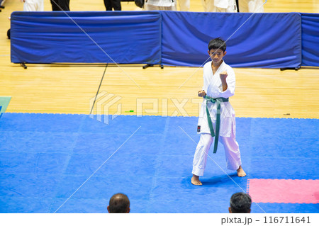 空手をする男の子 116711641