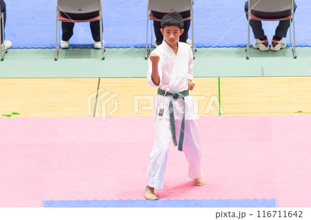 空手をする男の子 116711642