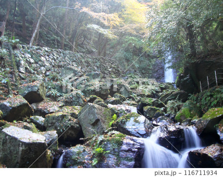 養老の滝を川下から見上げる 116711934