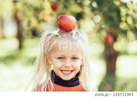 Child picking apples on farm in autumn. Little girl playing in tree orchard. Healthy nutrition. Cute little girl eating red delicious fruit. Harvest Concept. Apple picking. 116711965