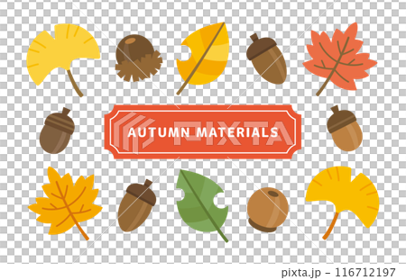 A set of autumn nature illustrations. Cute illustrations of leaves and acorns. A set of autumn nature illustrations. Cute illustrations of leaves and acorns. 116712197