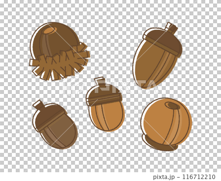 A set of autumn illustrations of acorns and oak trees. Round, cute nut material. Hand-drawn style. A set of autumn illustrations of acorns and oak trees. Round, cute nut material. Hand-drawn style. 116712210