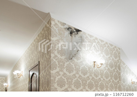 Mold inside hotel wall. Flooding rainwater or floor heating systems, causing damage, peeling paint and mildew. 116712260