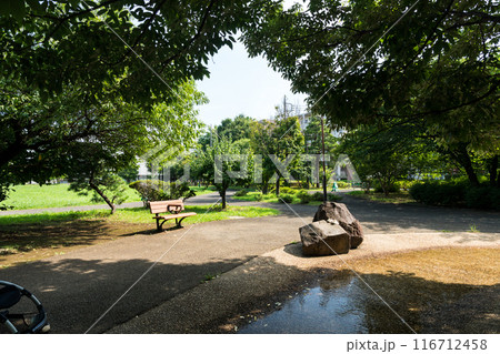 目黒区立東山公園　水辺　池尻大橋駅近く　夏晴れの青空　東京都目黒区 116712458