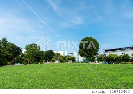 目黒区立東山公園　広々　池尻大橋駅近く　夏晴れの青空　東京都目黒区 116712460