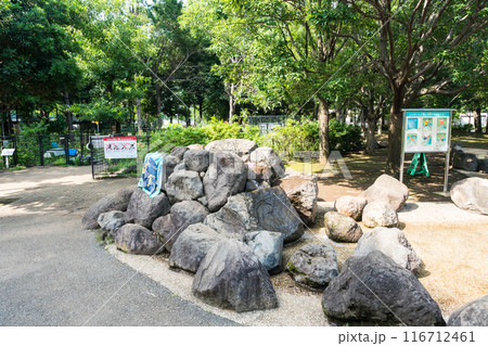 目黒区立東山公園 水遊び 池尻大橋駅近く 夏晴れの青空 東京都目黒区 目黒区立東山公園 水遊び 池尻大橋駅近く 夏晴れの青空 東京都目黒区 116712461