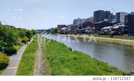 鴨川の景色【京都】 鴨川の景色【京都】 116712587