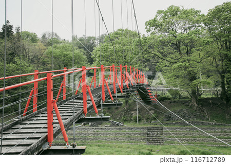 沼尾川親水公園 沼尾川親水公園 116712789
