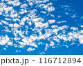 夏の青空と雲 116712894