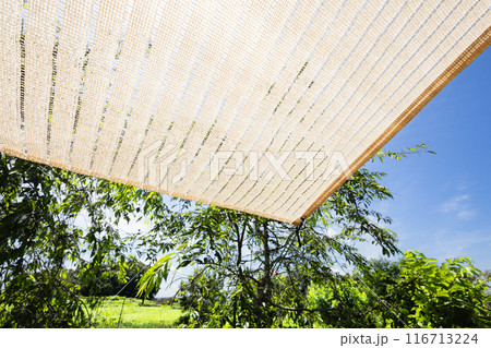 日除け紫外線暑さ対策 日除け紫外線暑さ対策 116713224